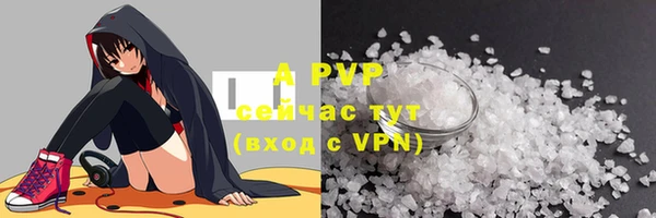 ECSTASY Кукмор