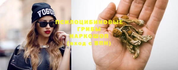 кристаллы Корсаков